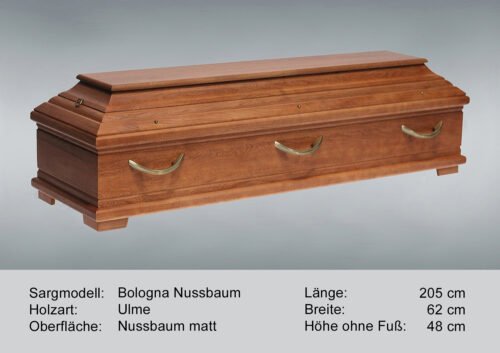 Bologna Nussbaum – Bild 2