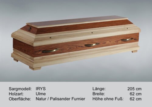 IRYS – Bild 2